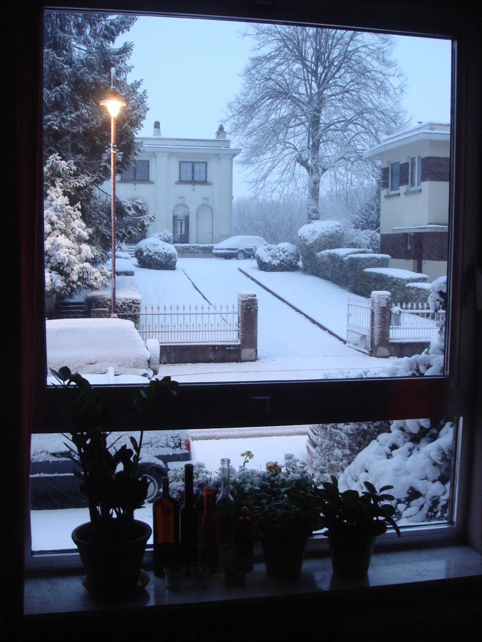 Gallery Image 9
