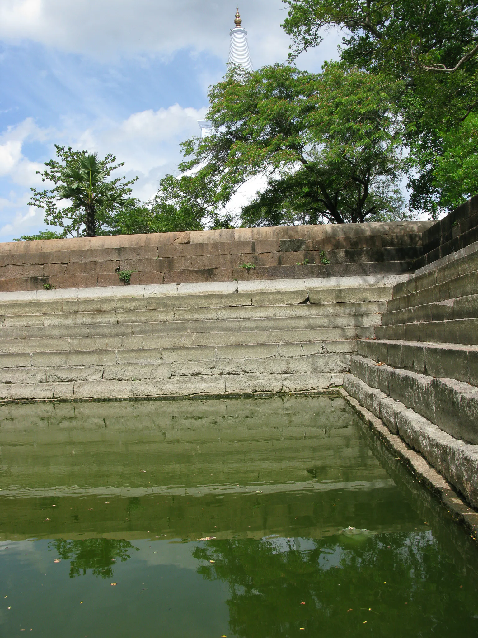 Gallery Image 38