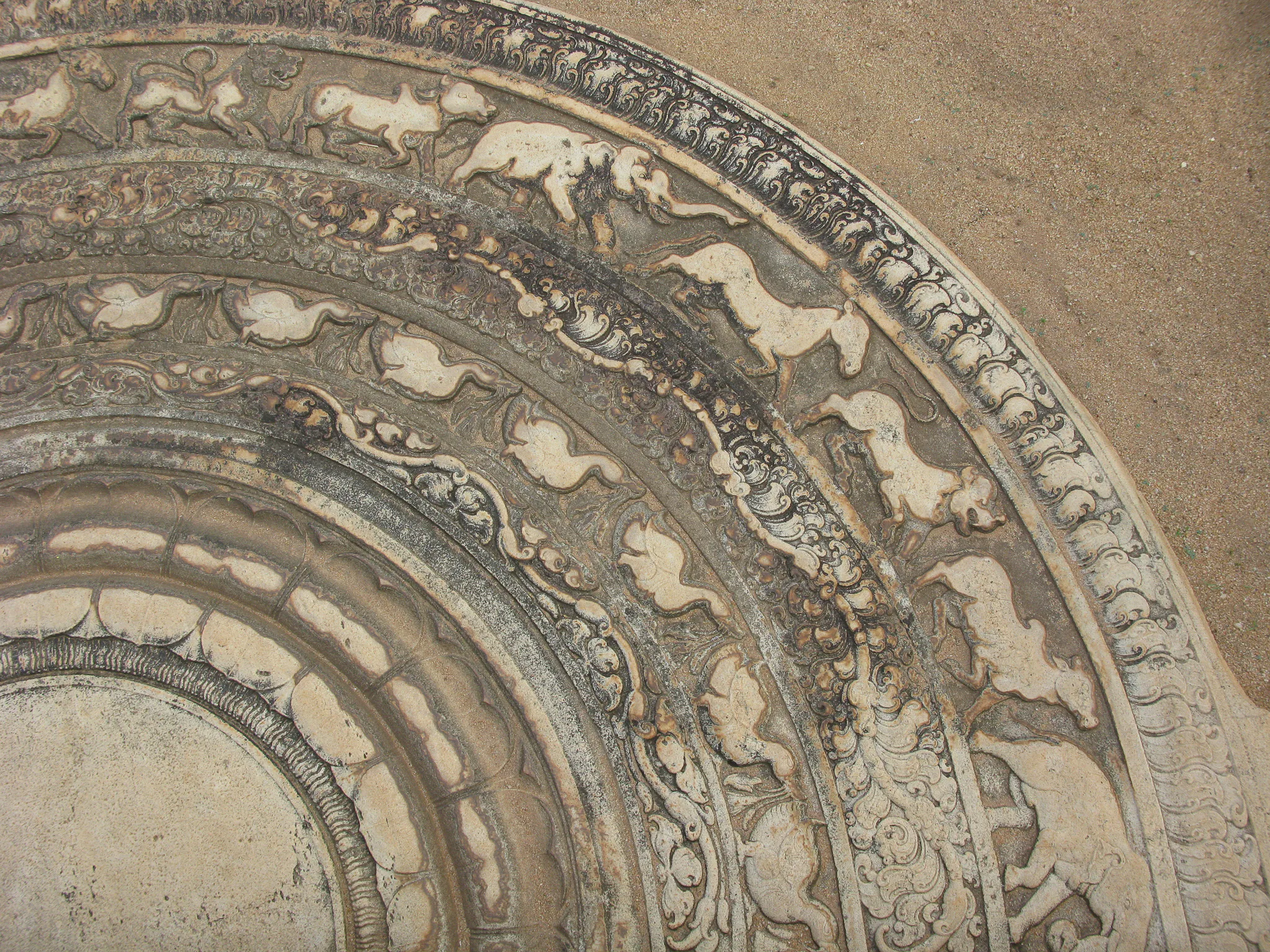 Gallery Image 51
