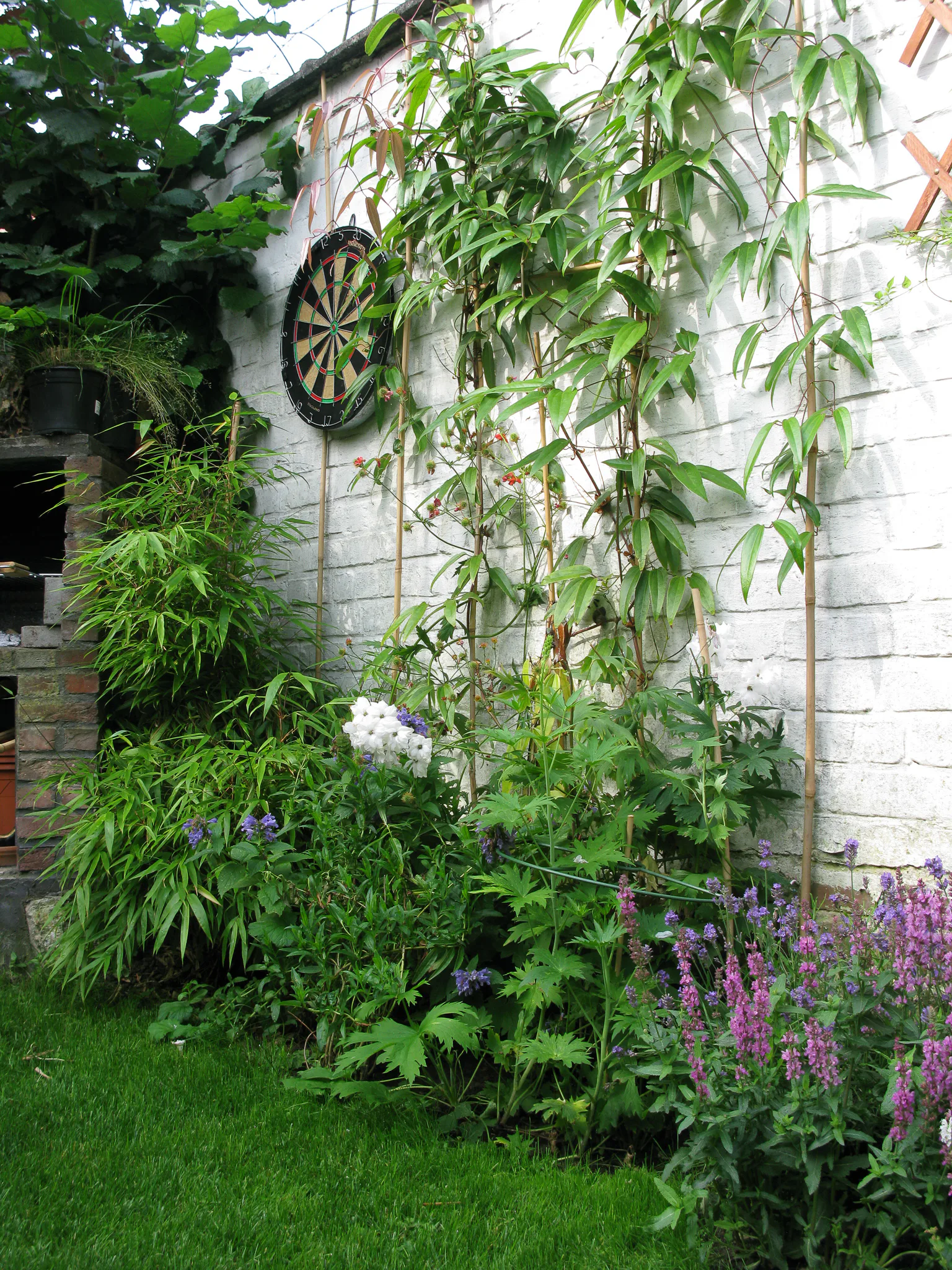 Gallery Image 10