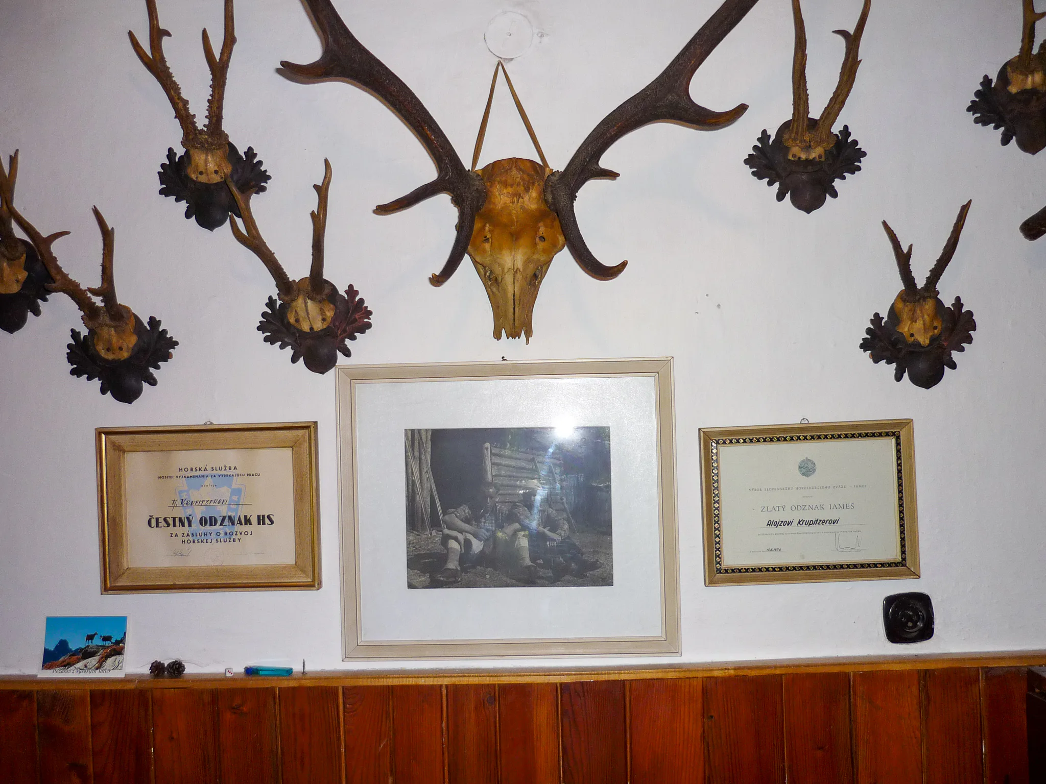 Gallery Image 9