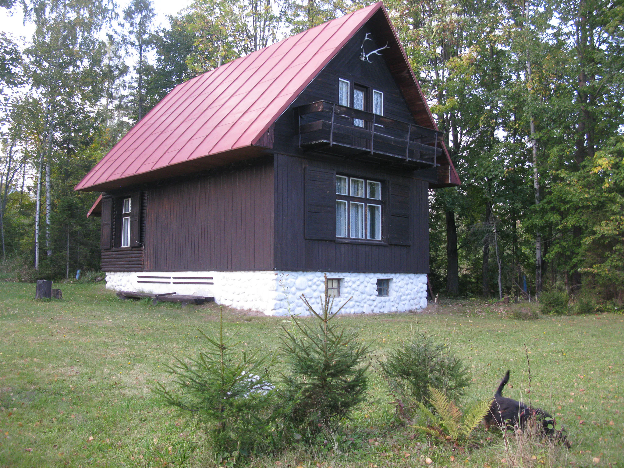 Gallery Image 3