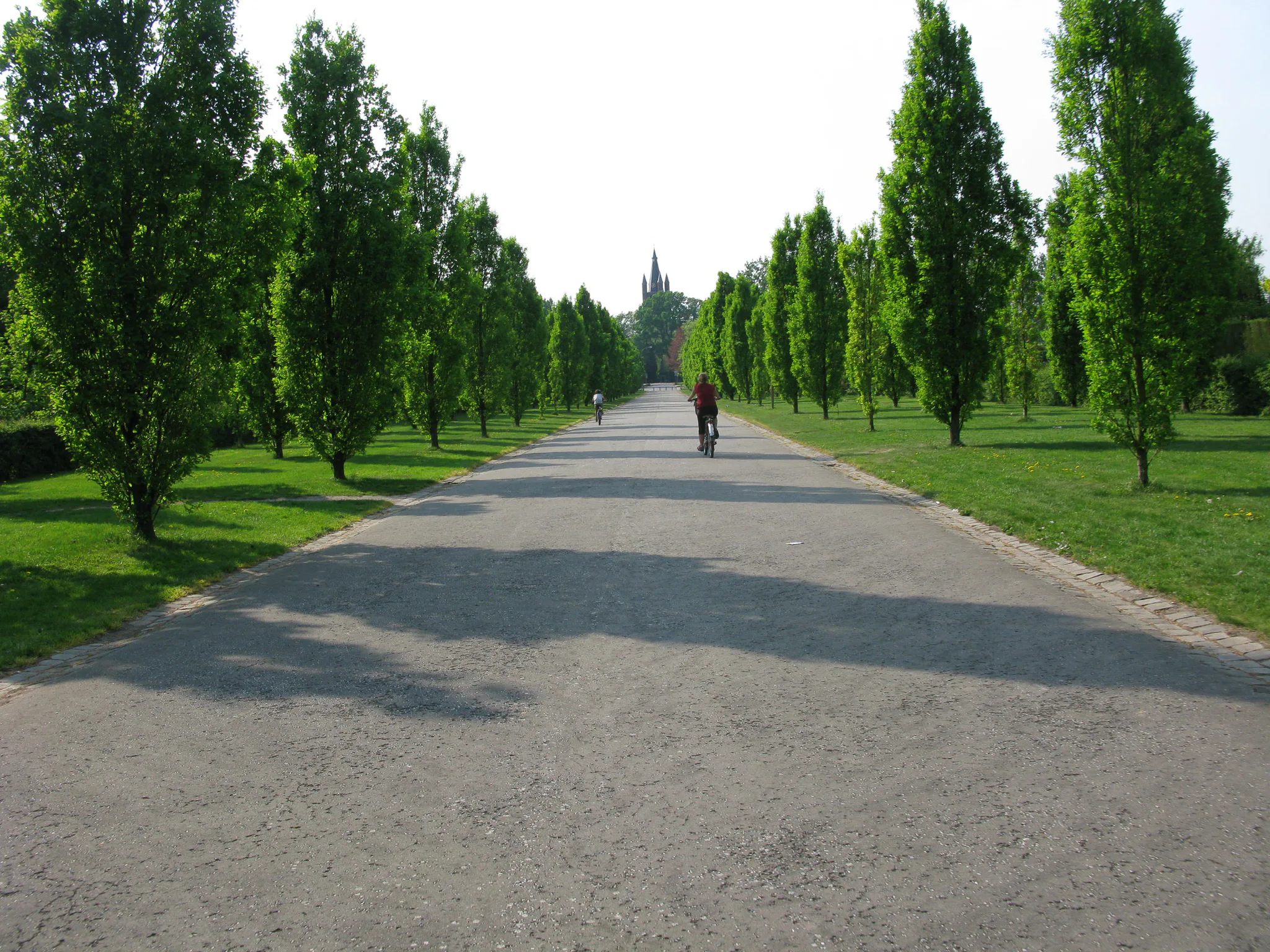 Gallery Image 8