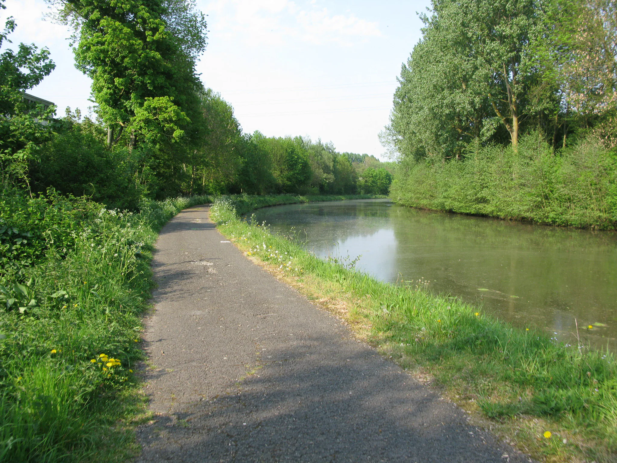 Gallery Image 9