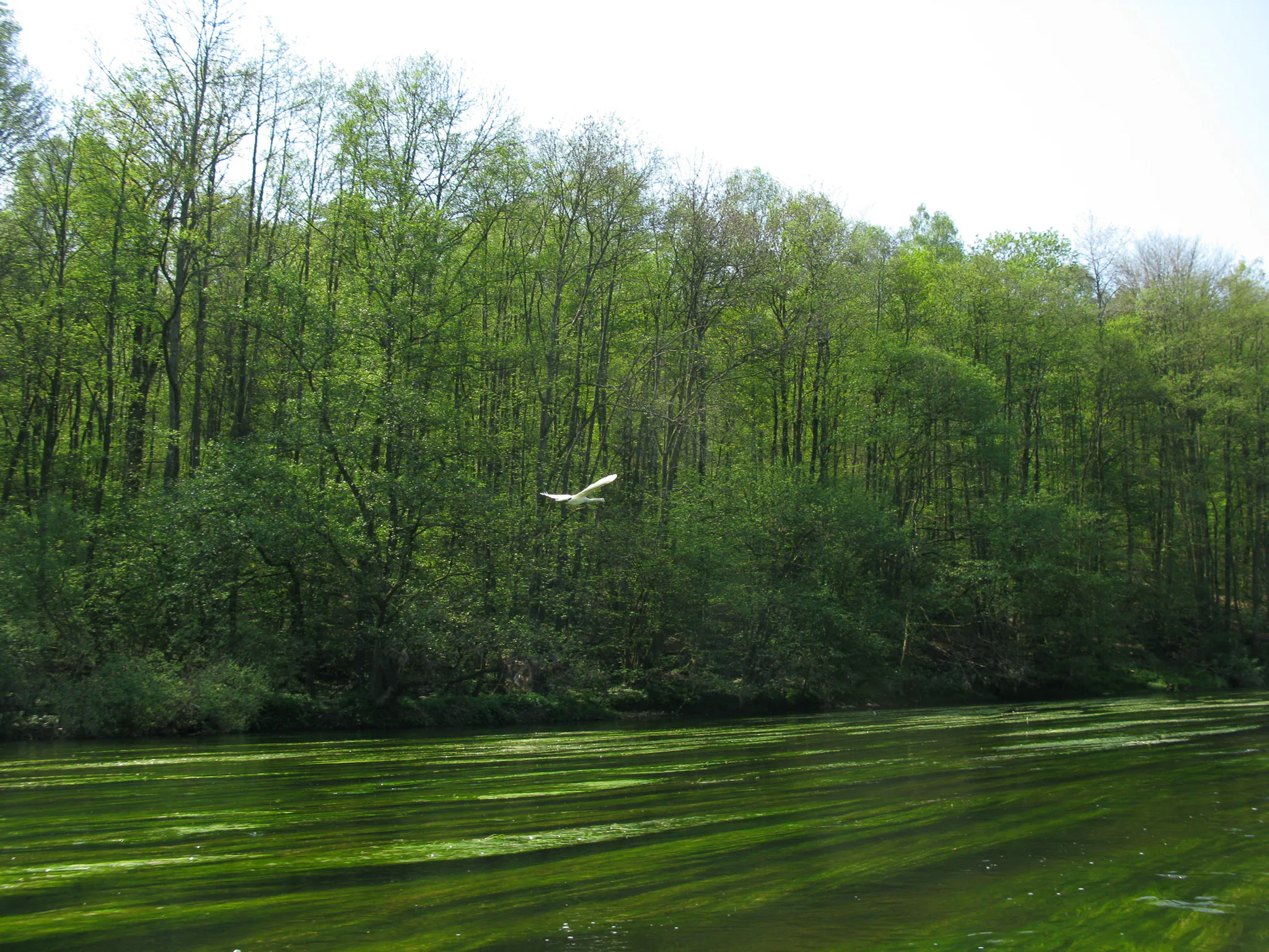 Gallery Image 15