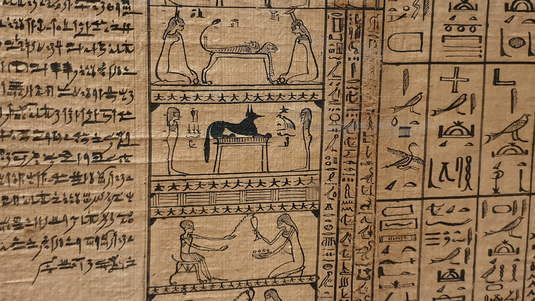 Gallery Image 15