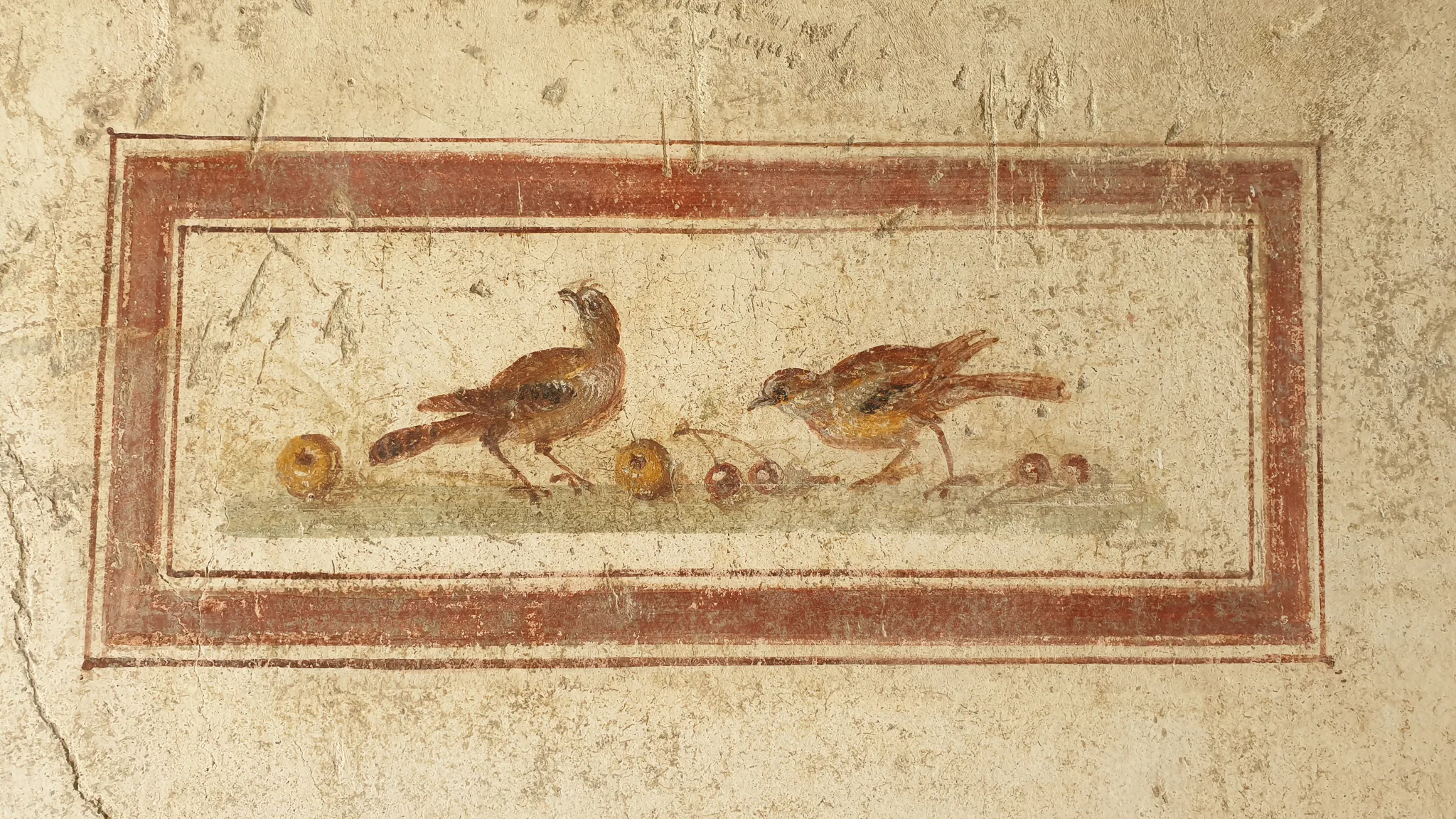 Gallery Image 7