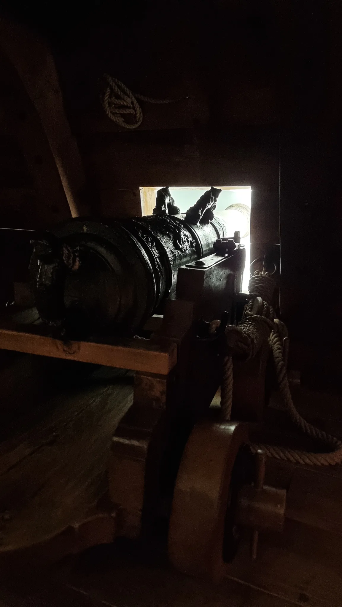 Gallery Image 19