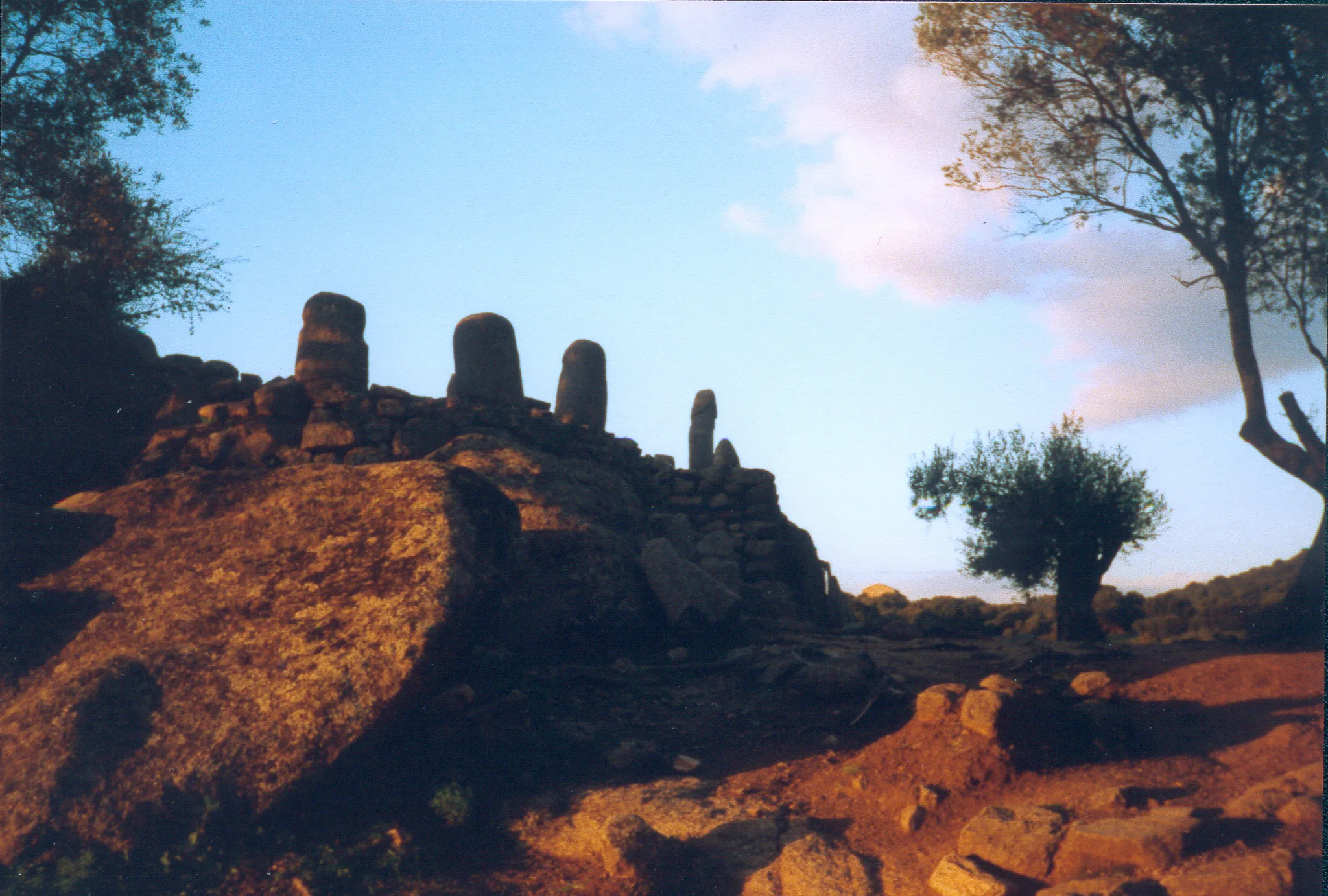 Gallery Image 56