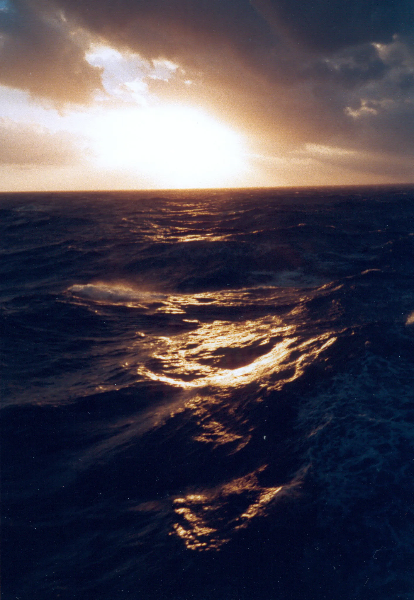 Gallery Image 24