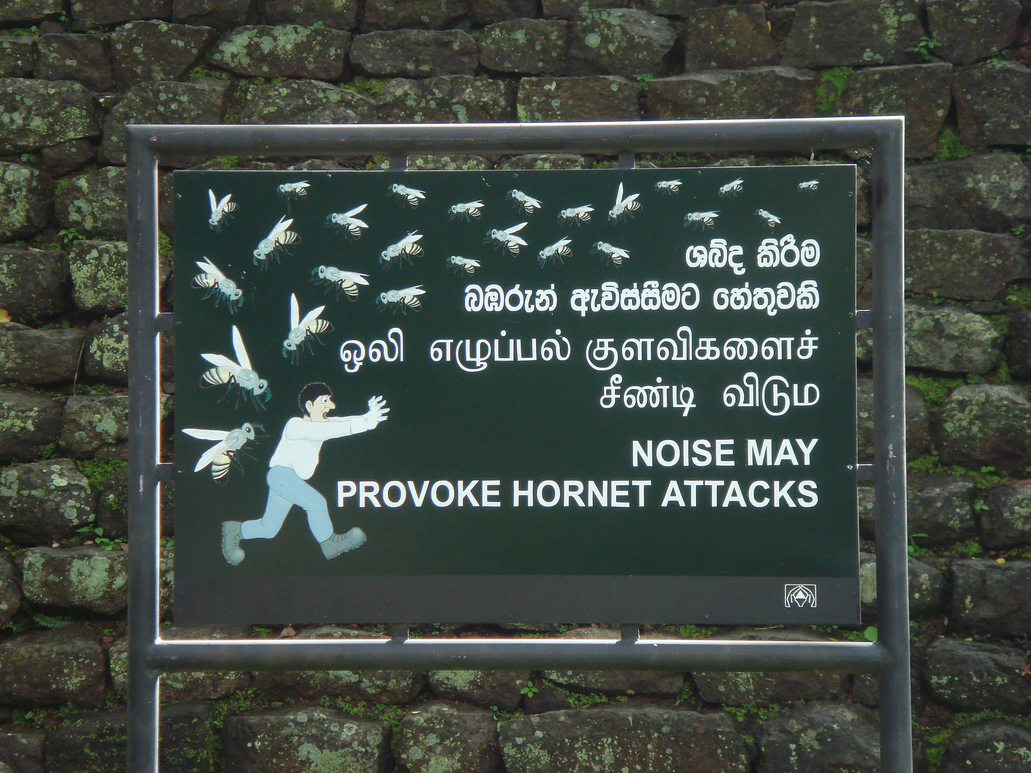 Gallery Image 8