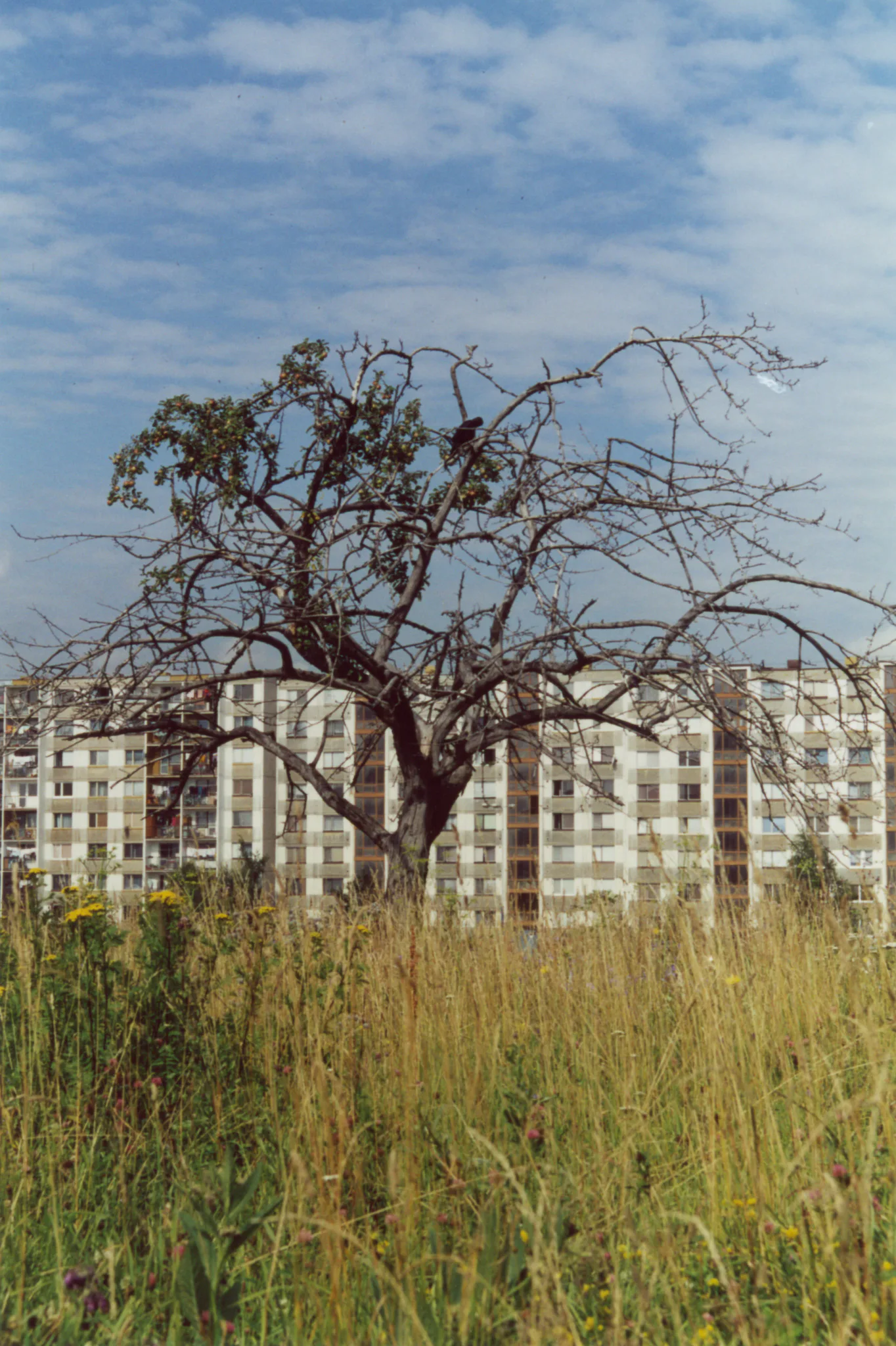 Gallery Image 25