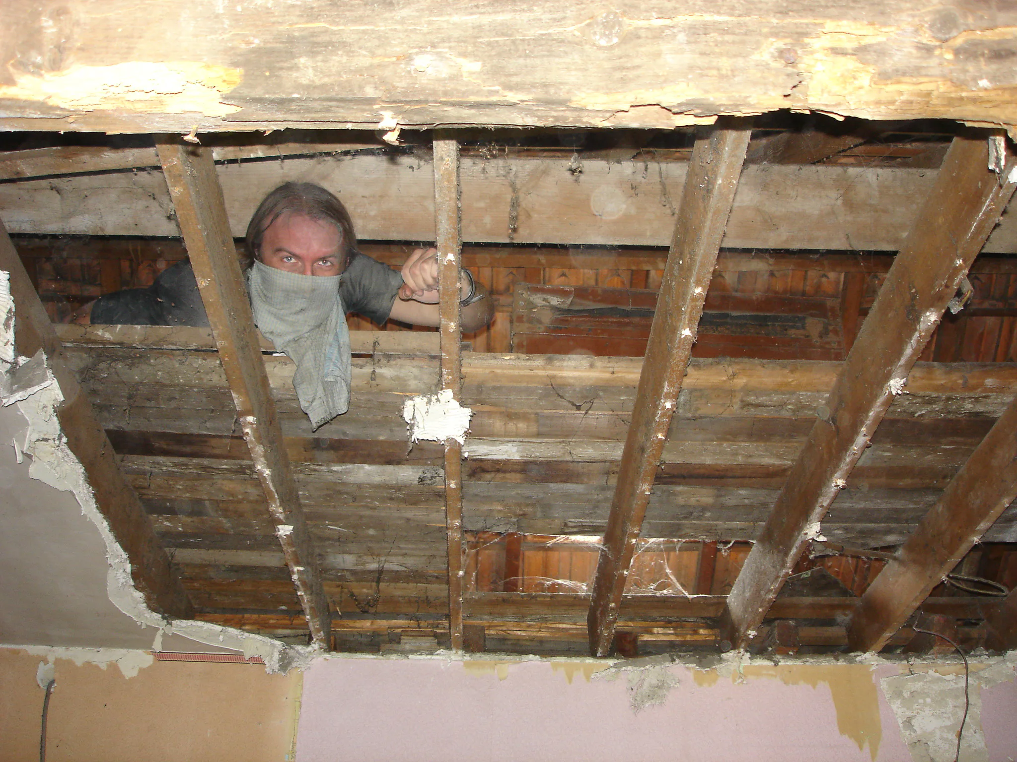 Gallery Image 5