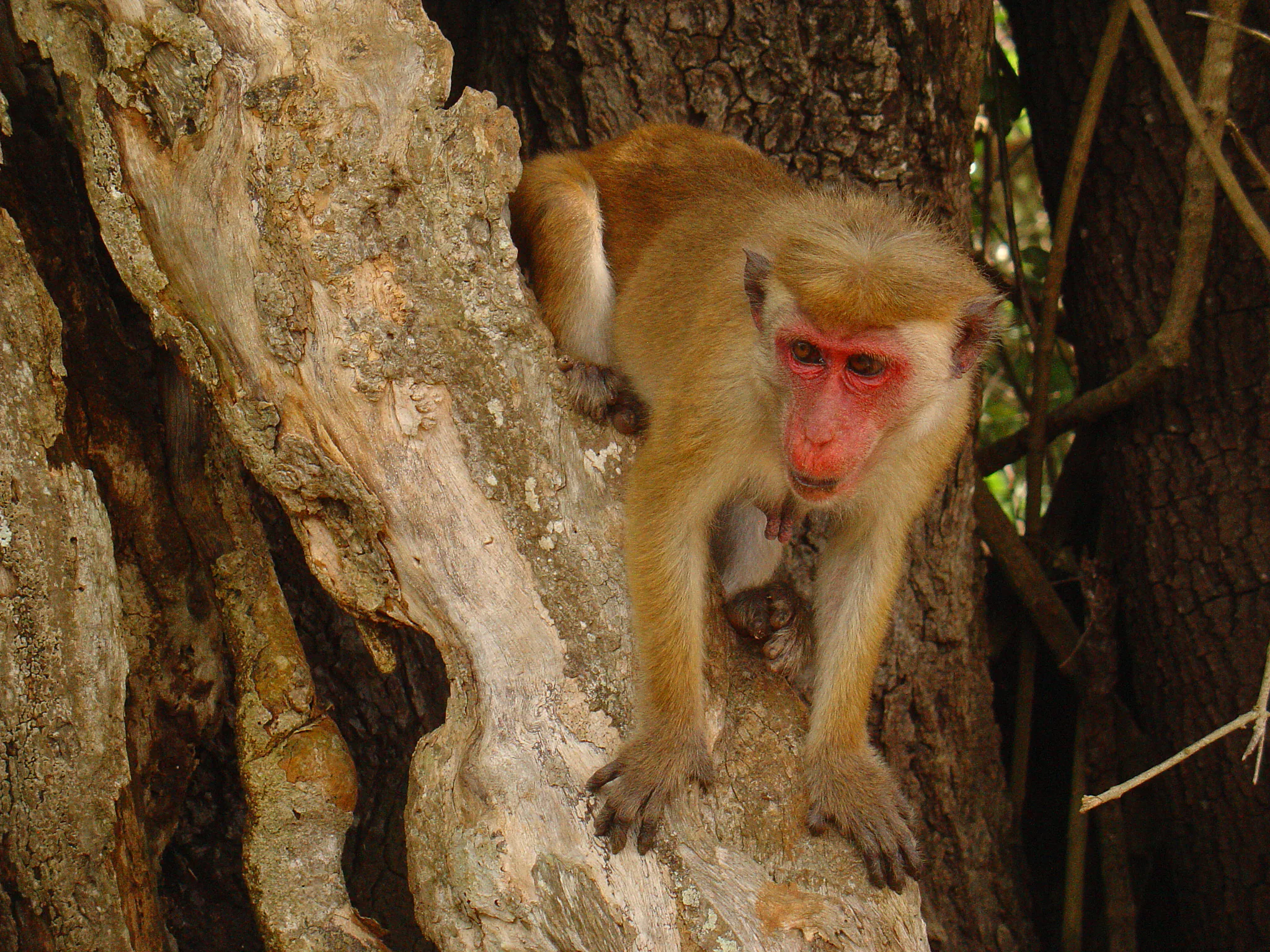 Gallery Image 31