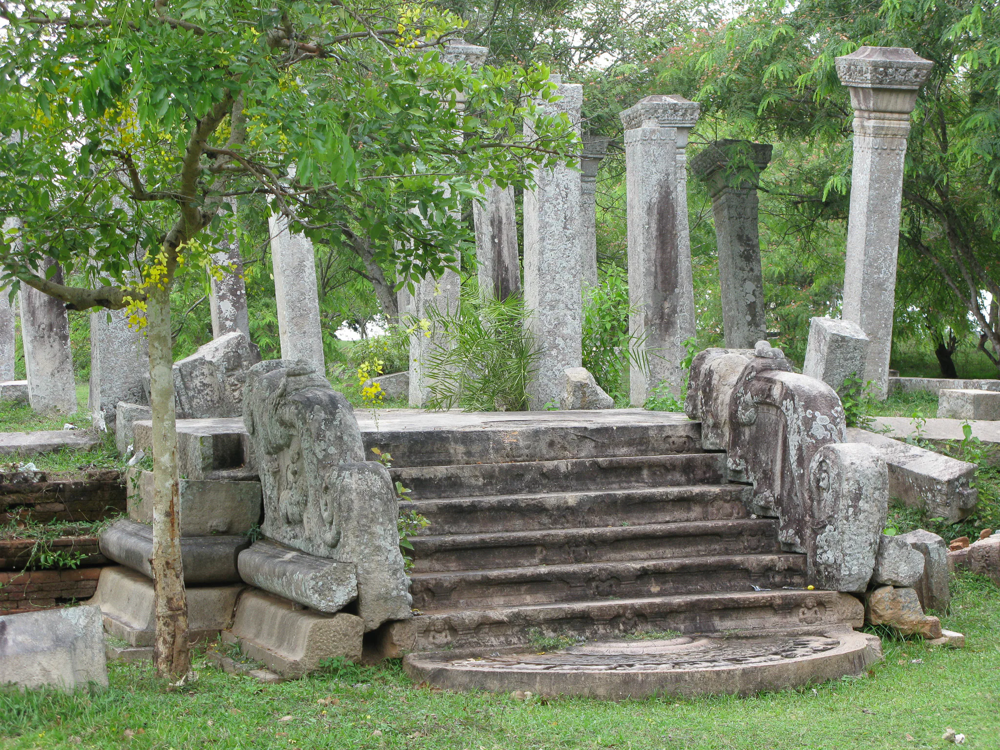 Gallery Image 41