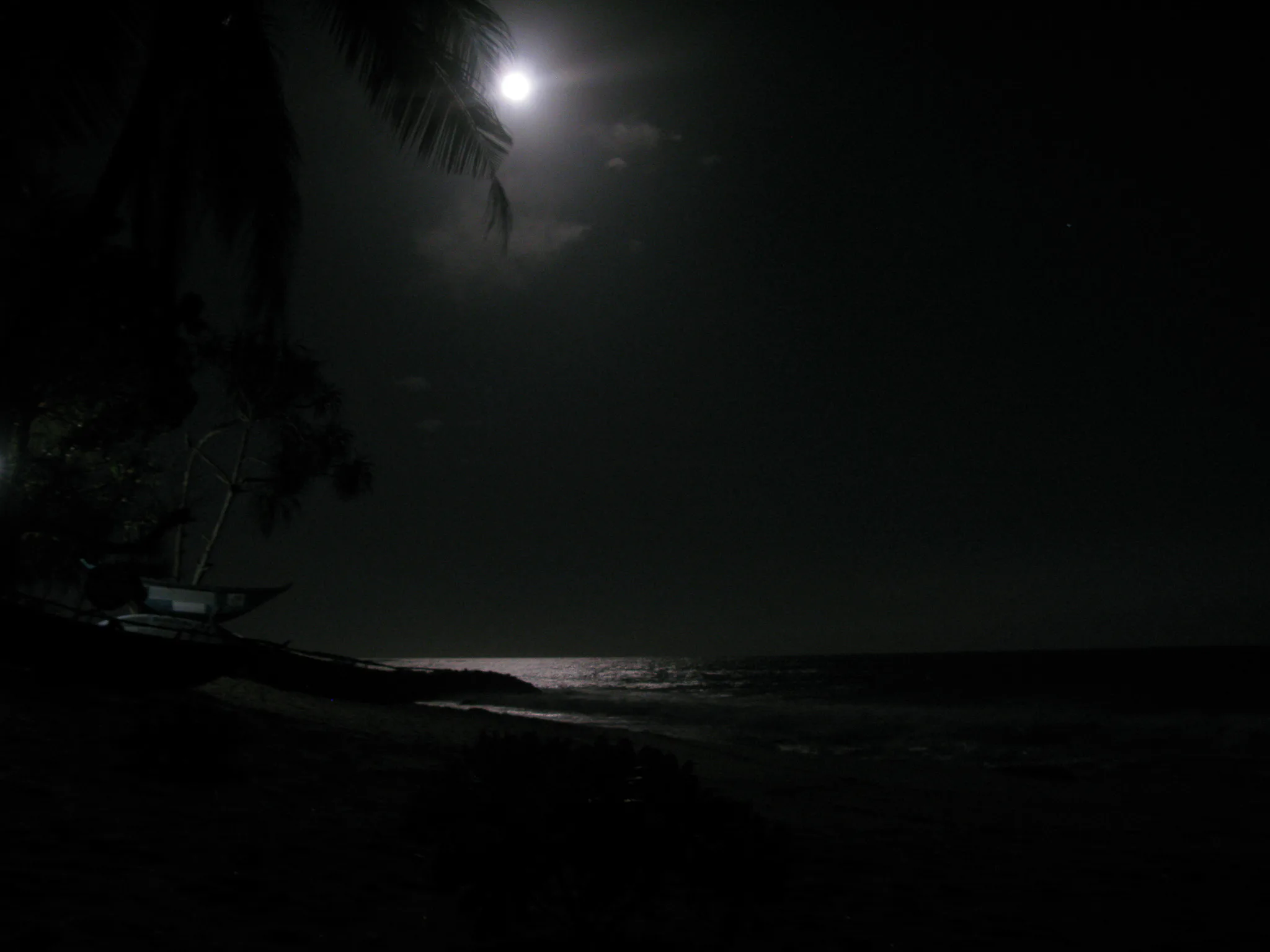 Gallery Image 52